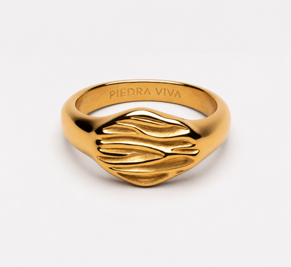 Anillo Tide